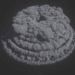 hellfire_001_01_md_v003