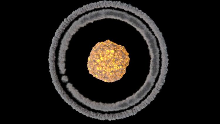 Houdini FX Power Asset – Nuke explosions toolkit