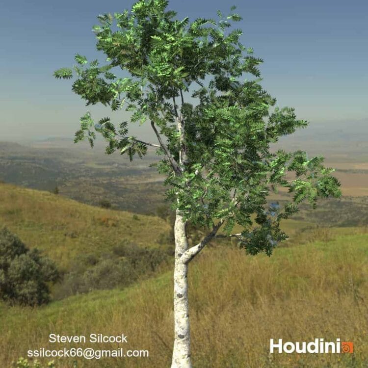 Houdini – Tree Generator Asset