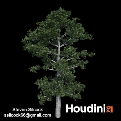 Houdini – Tree Generator Asset