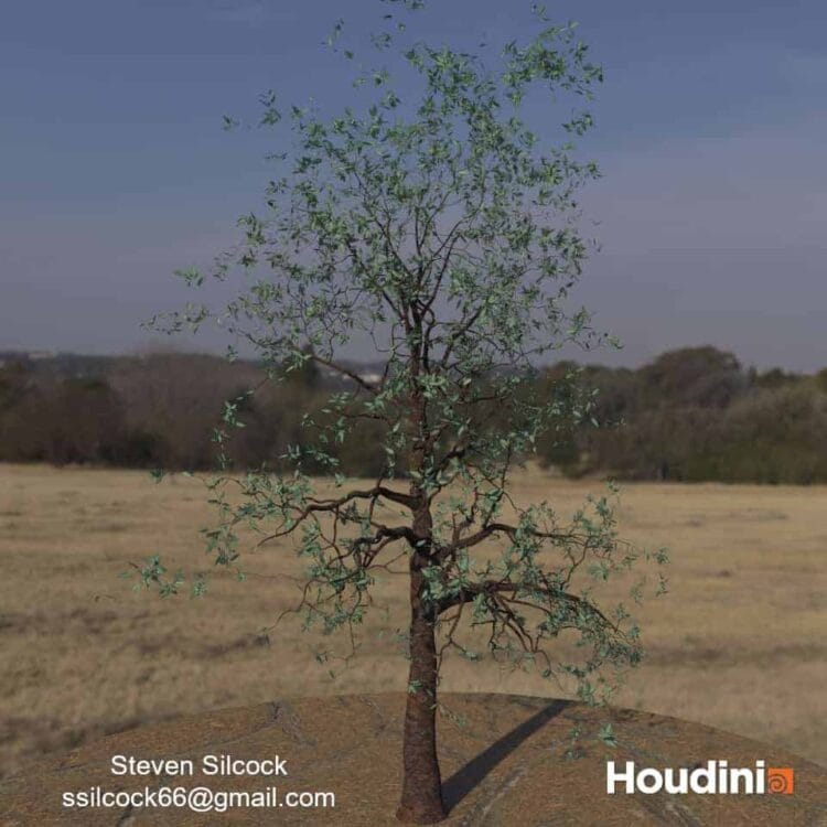 Houdini – Tree Generator Asset