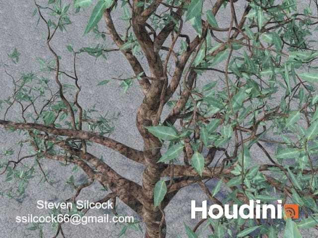 Houdini – Tree Generator Asset