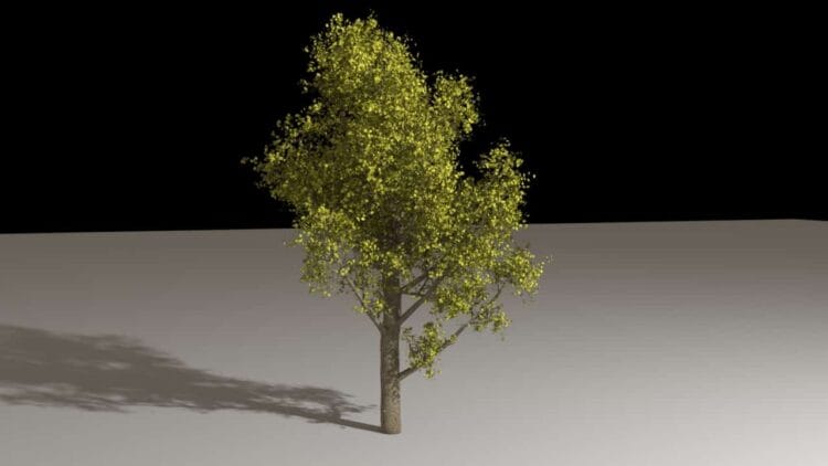 Houdini – Tree Generator Asset