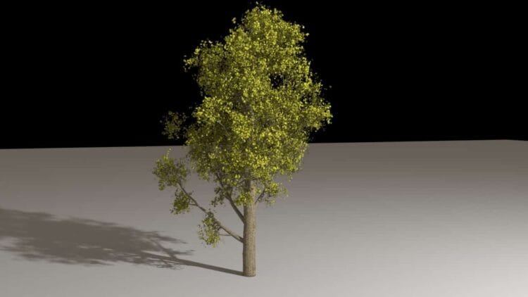 Houdini – Tree Generator Asset