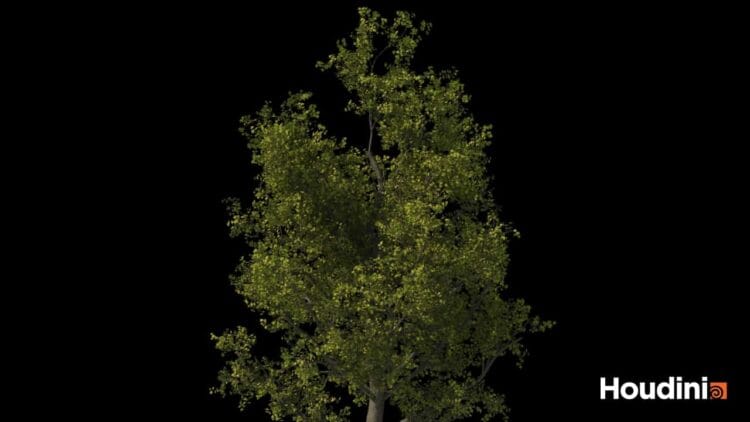 Houdini – Tree Generator Asset