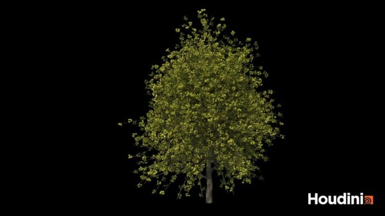 Houdini – Tree Generator Asset