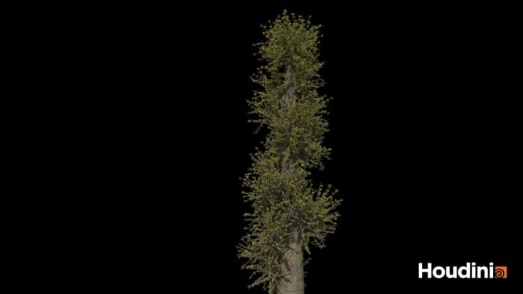 Houdini – Tree Generator Asset