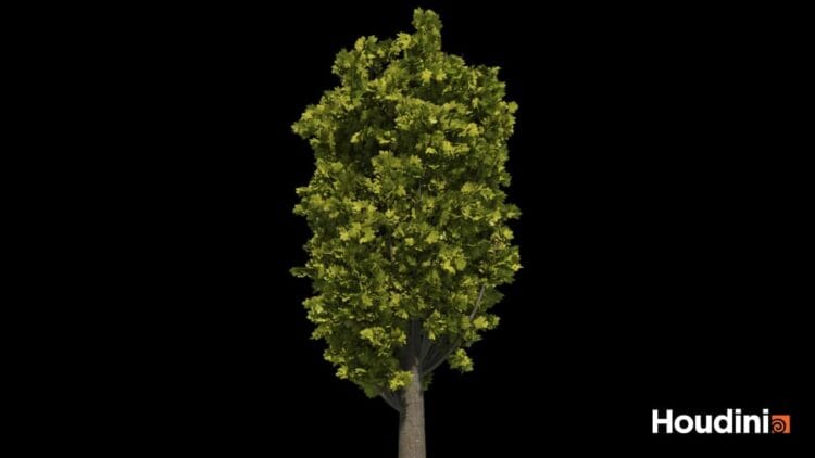 Houdini – Tree Generator Asset