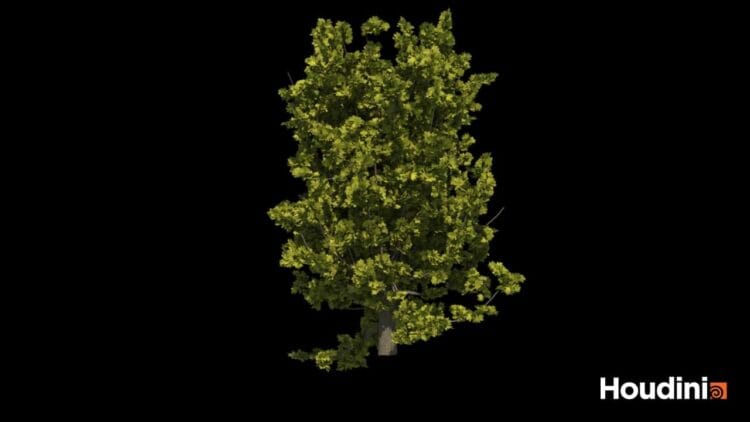 Houdini – Tree Generator Asset