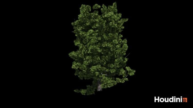 Houdini – Tree Generator Asset