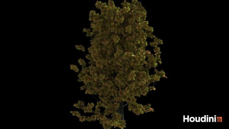 Houdini – Tree Generator Asset