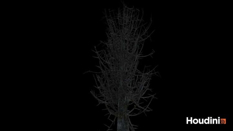 Houdini – Tree Generator Asset