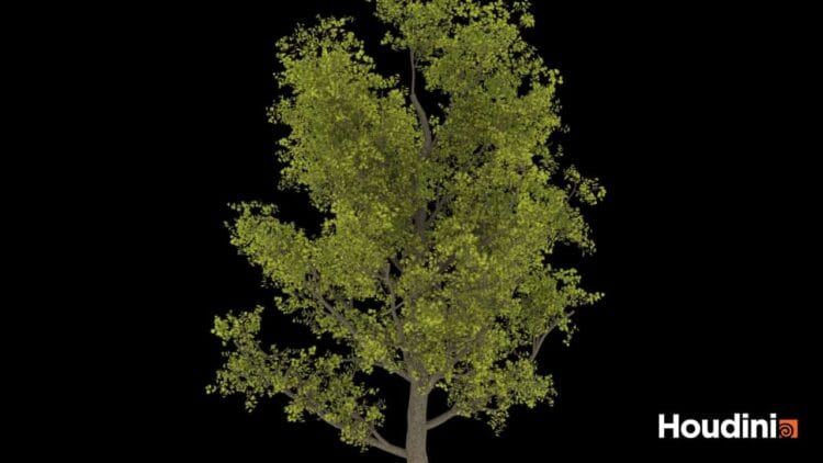 Houdini – Tree Generator Asset