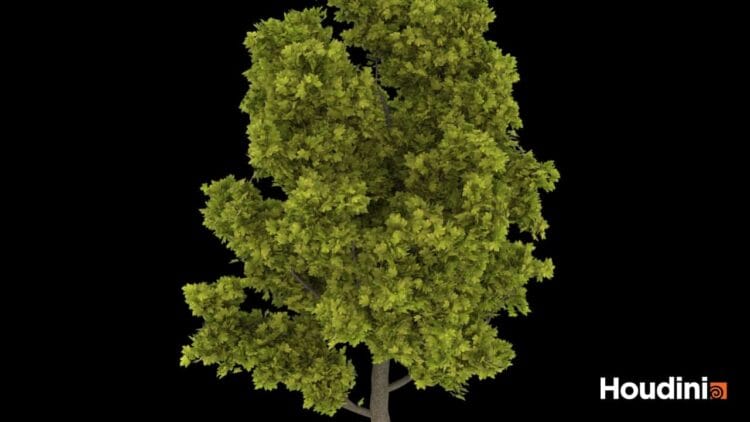 Houdini – Tree Generator Asset