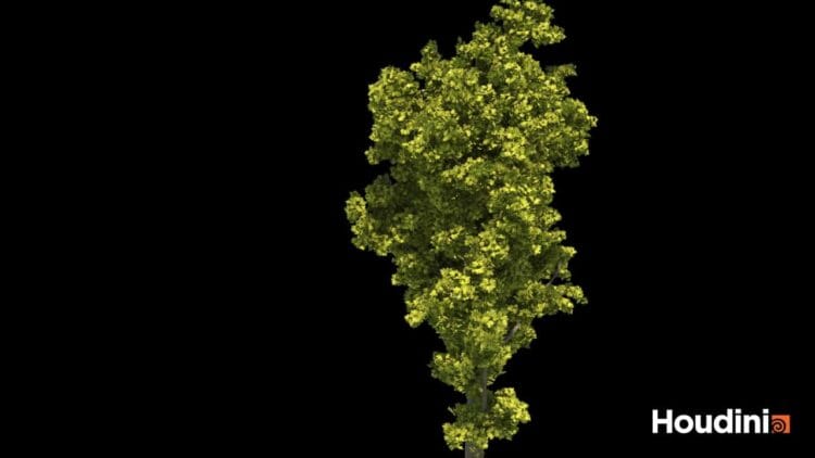 Houdini – Tree Generator Asset
