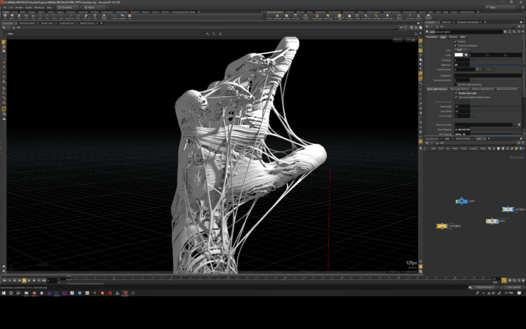 Frei Otto Attractor ( Houdini Asset)