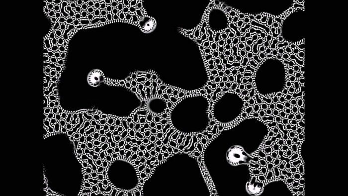 Cellular Automata Asset For Houdini – Game of Life – Industrial.Digital ...