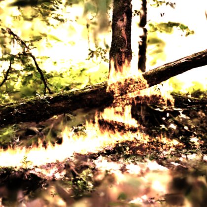 Gslpats  - Burning jungle