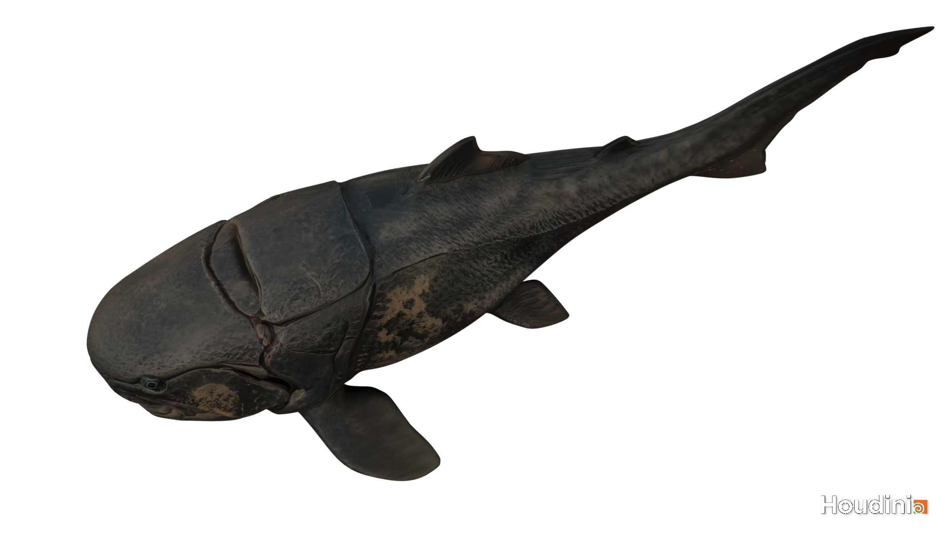 Dunkleosteus 3D Model - Image 3