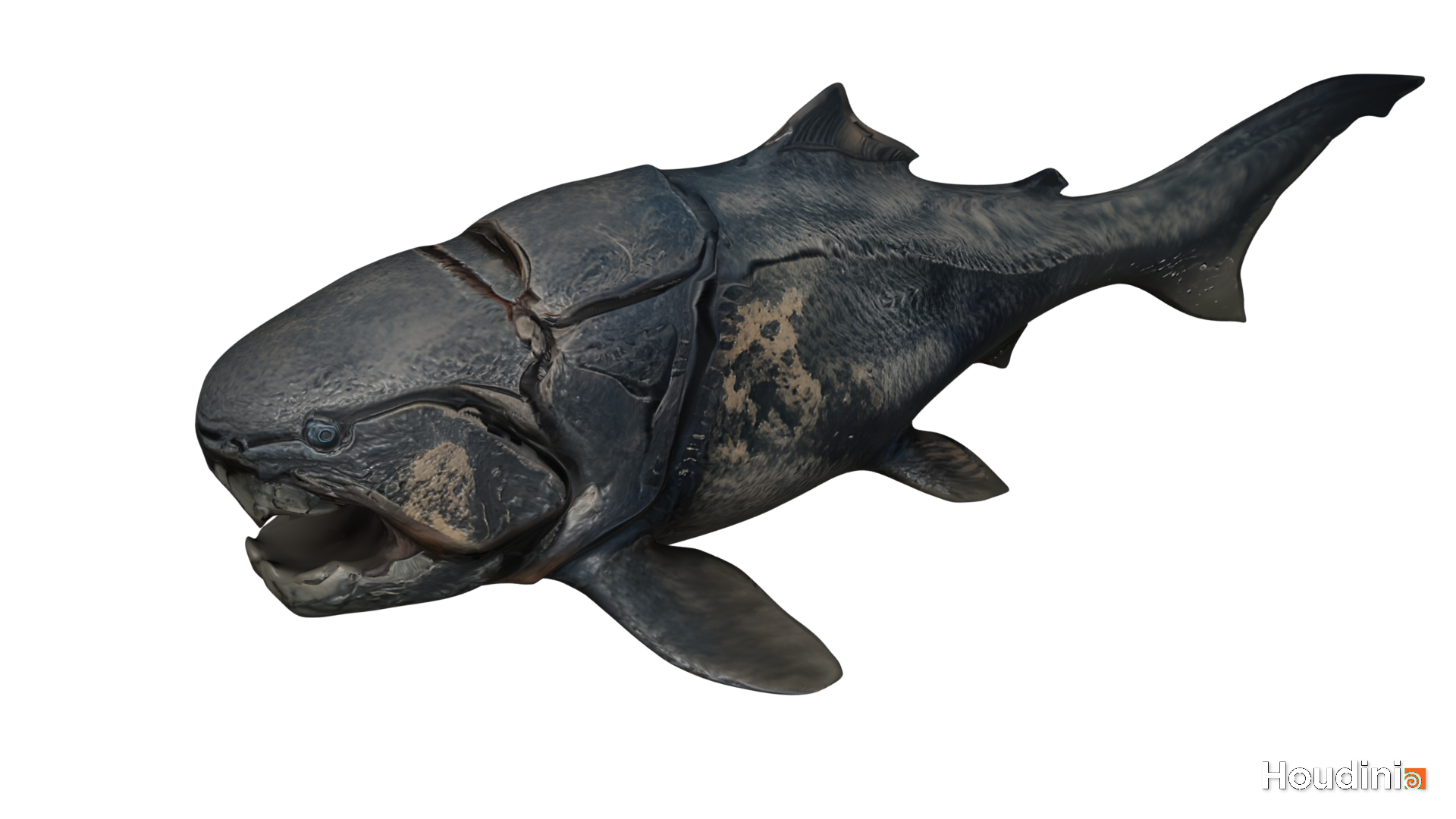 Dunkleosteus 3D Model - Image 15