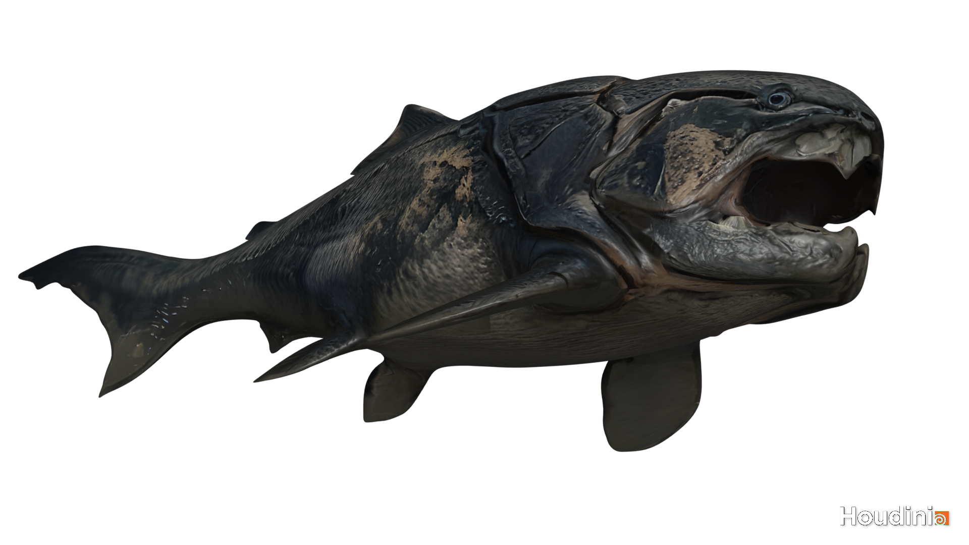 Dunkleosteus 3D Model - Image 16
