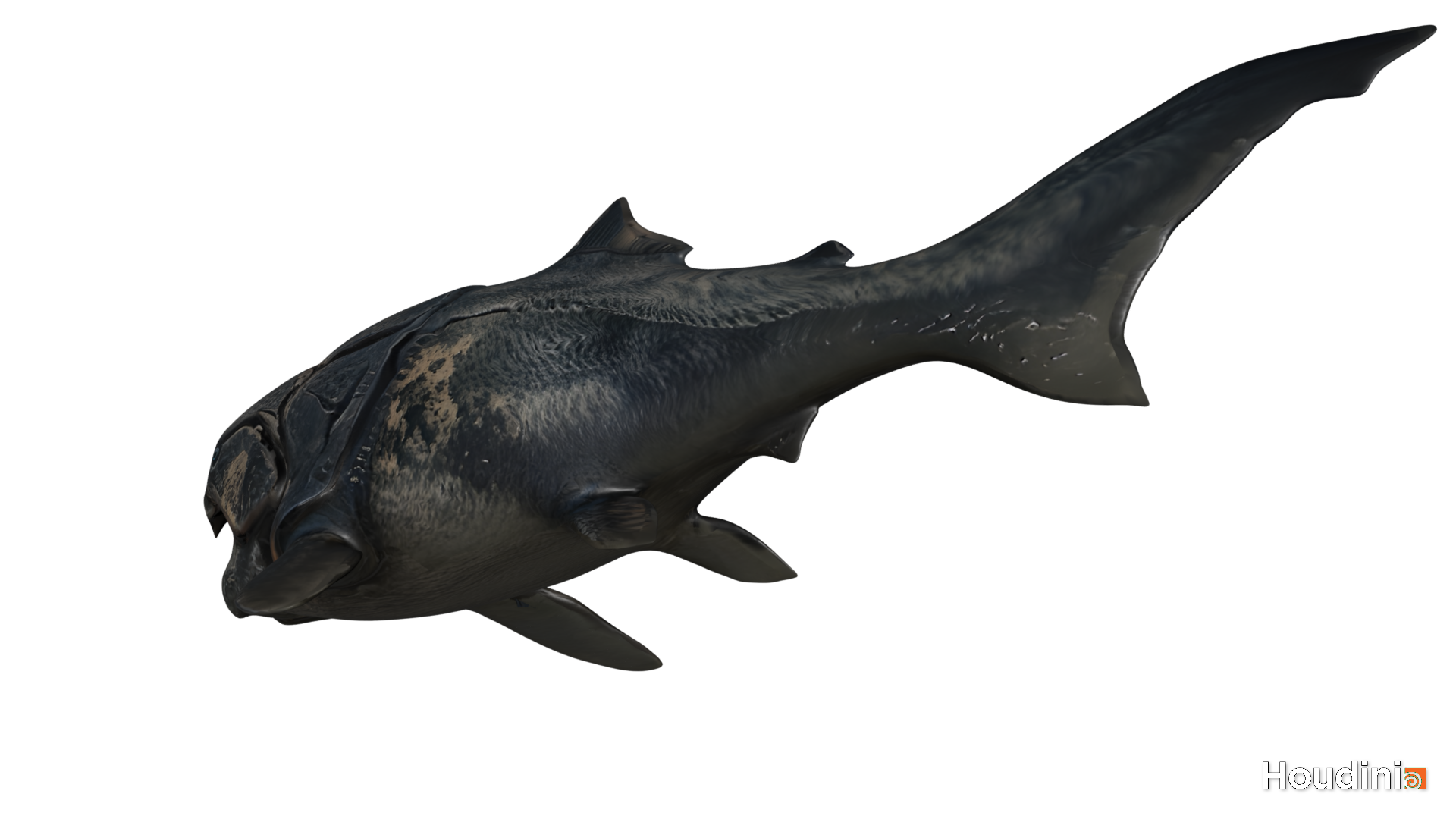Dunkleosteus 3D Model - Image 18