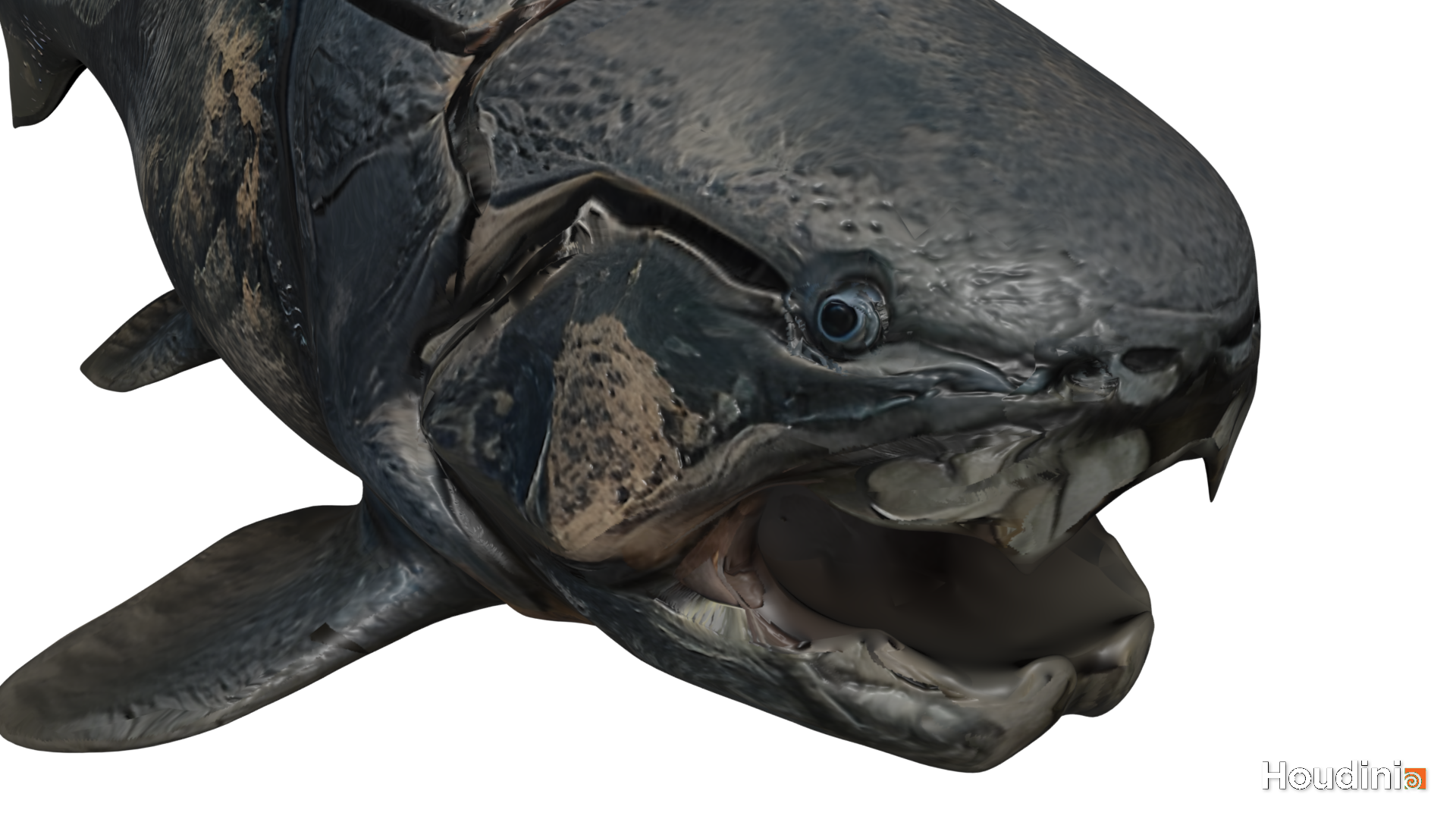 Dunkleosteus 3D Model - Image 19
